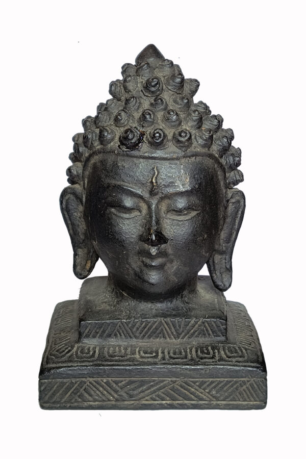 Busto Buda